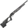 Buy Ruger 10/22 target Online